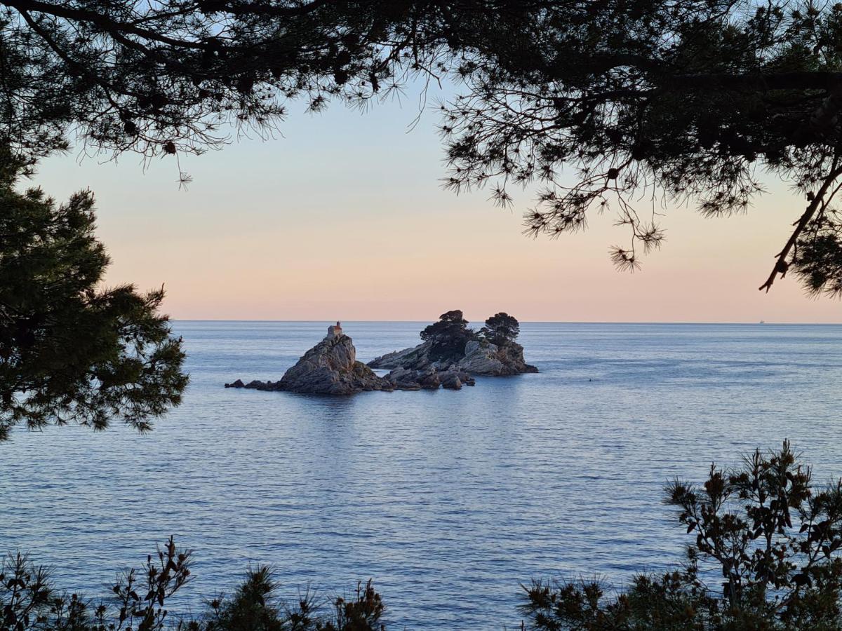 Palm Point Apartment Petrovac Kültér fotó
